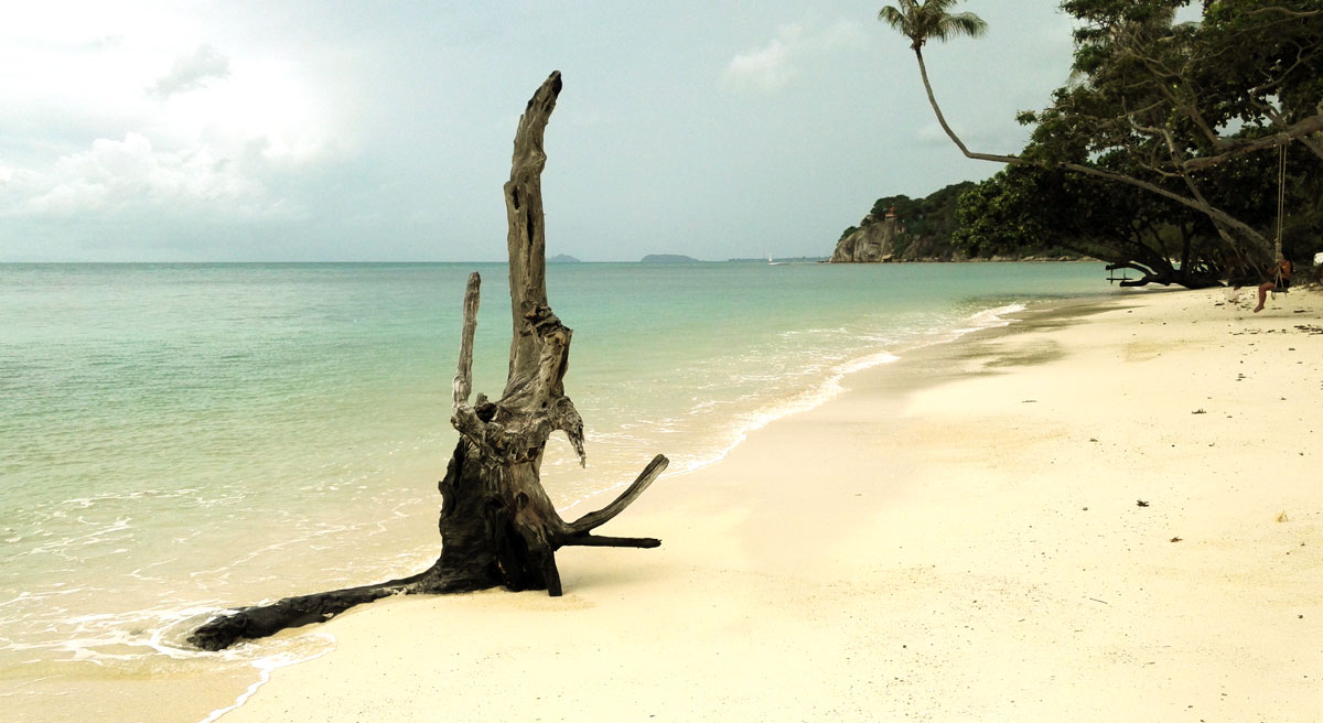 Stress et yoga - Toulon / le Beausset